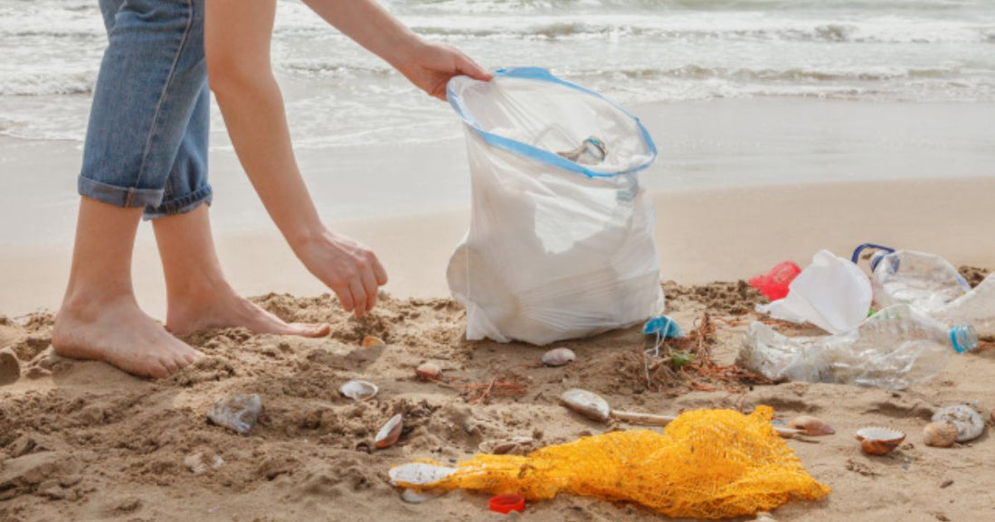 『生物とSDGs8』海を漂うプラスチックのゆくえ