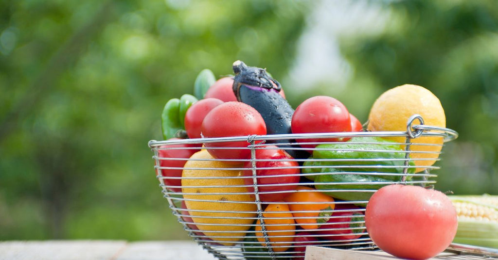 朝に干して夕食の一品に!「半日干し」で夏野菜をおいしく食べ切ろう