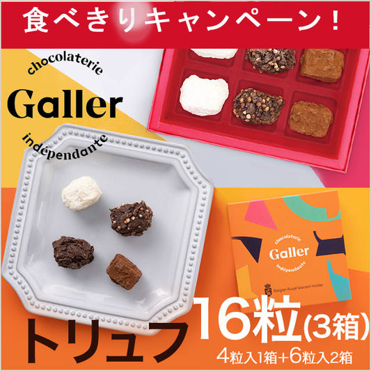【ベルギー王室御用達】トリュフチョコ16粒/ホワイト・ビター・キャラメル【送料無料】