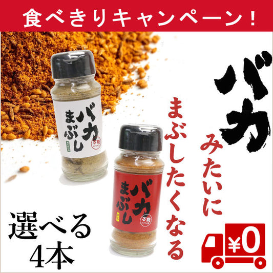 食べきり！【バカ】みたいにまぶしたくなる！万能スパイス2種（送料無料）