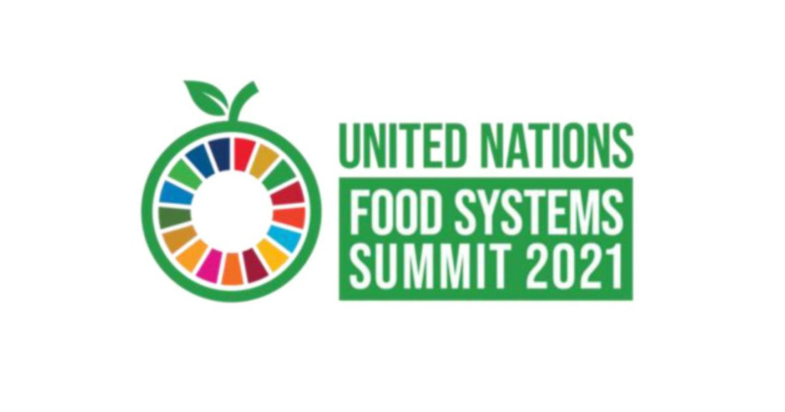 世界で初めて開催された「国連食料システムサミット」