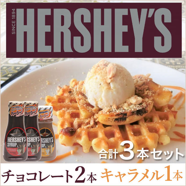 HERSHEY'S】カンタン！楽しく美味しいシロップセット/チョコ2本