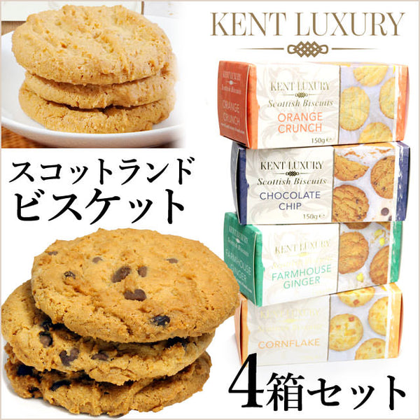 3_000000000384_600x600.jpg?v=