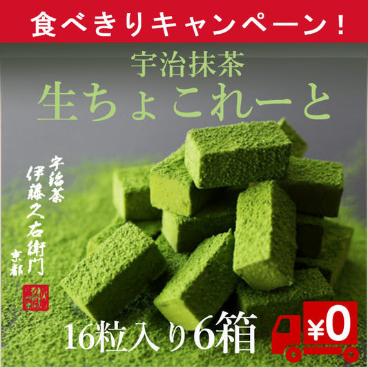【伊藤久右衛門スイーツの原点】宇治抹茶生ちょこれーと16粒入6箱（送料無料）