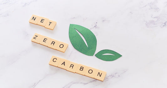 NET ZERO　CARBON　イメージ