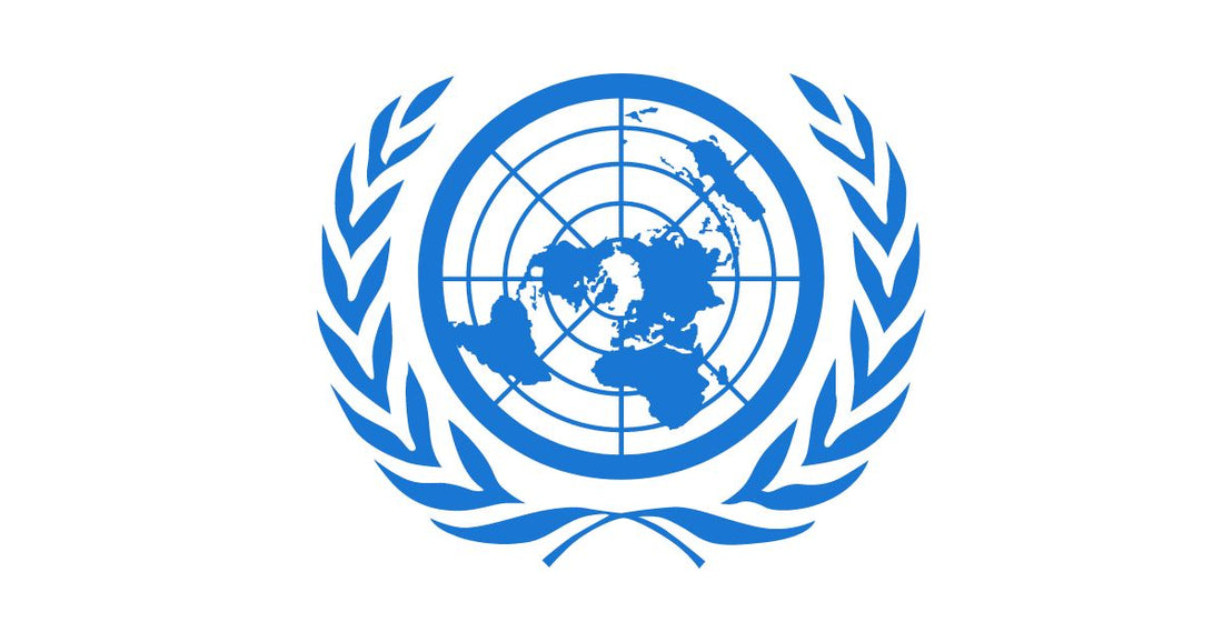 国連のUNDPってどんな組織？