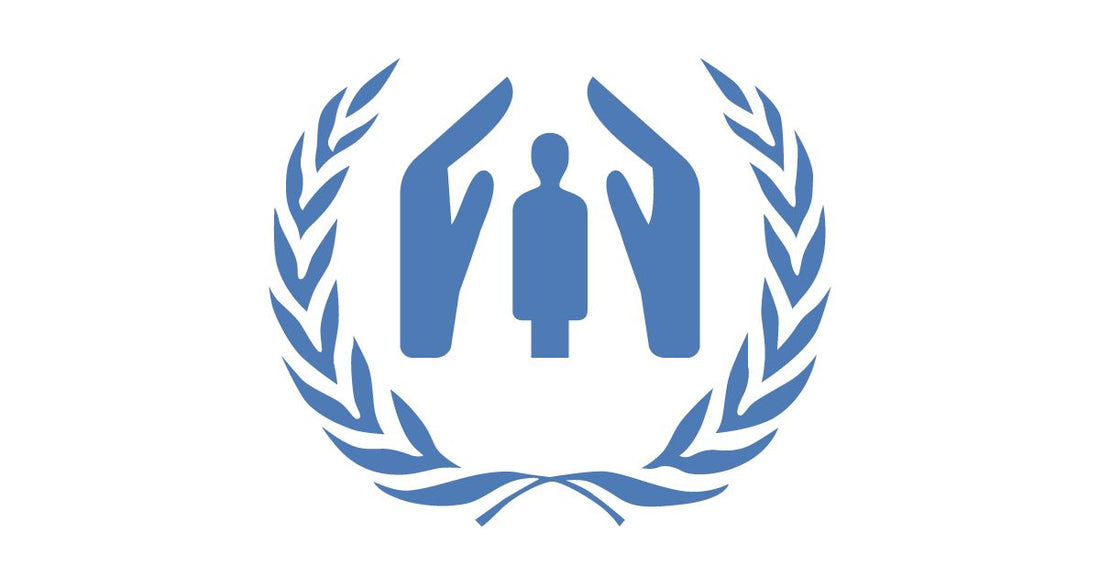 国連のUNHCRってどんな組織？
