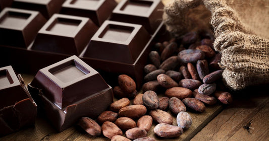 Bean to Barって何？カカオ農家を救う、サステナブルなチョコレート製造