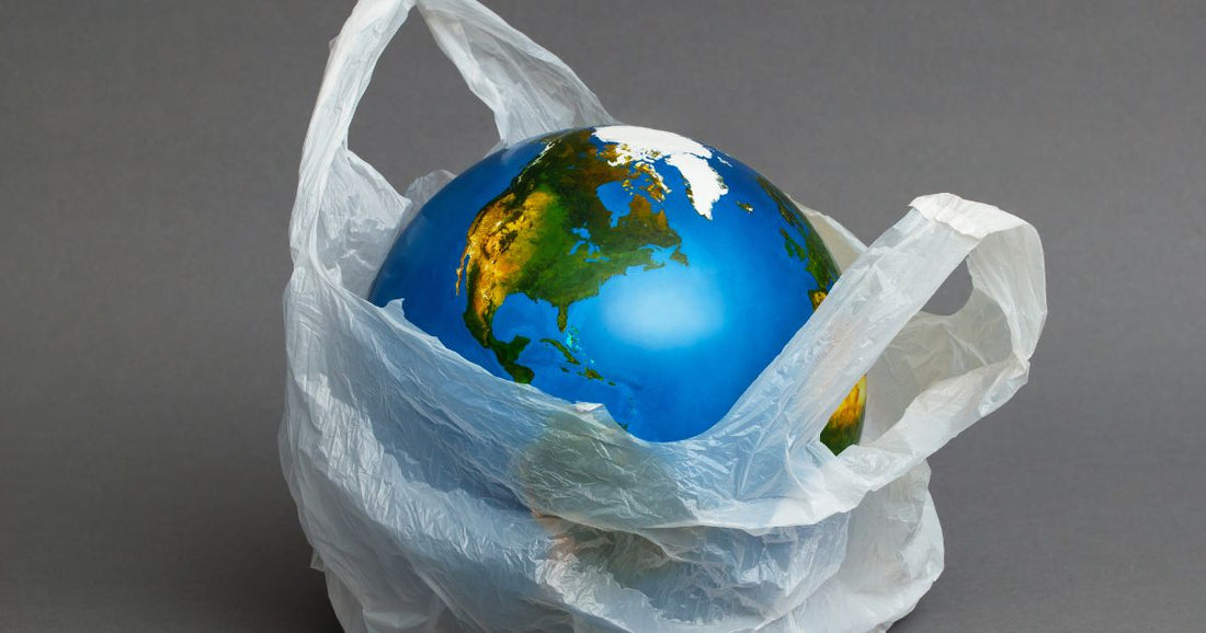 レジ袋有料化でプラスチックの使用量は減少した？意識改善につなげる政策