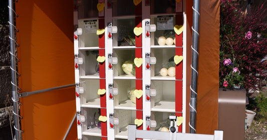 屋外に設置された野菜のロッカー型自販機