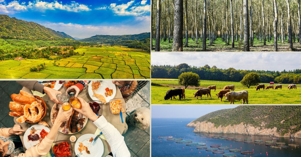 「食べる」は「生きる」の連鎖。食品ロス削減がつなぐワンヘルスの話