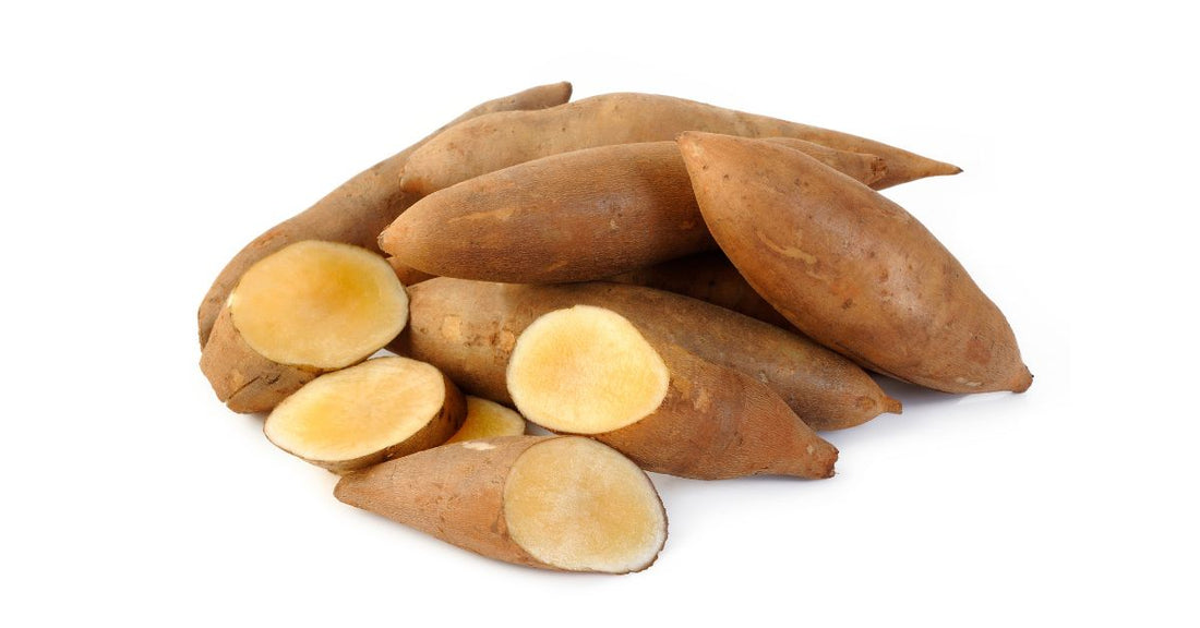 ヤーコンとカット断面