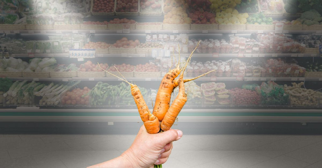 【実は知らない】食品ロスは“家庭の前”で生まれている