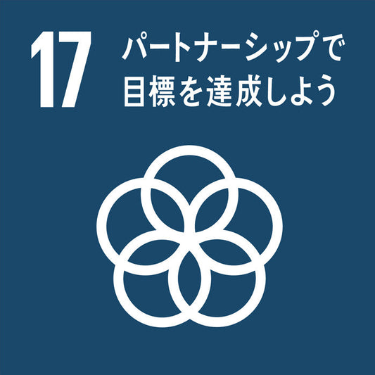 SDGｓとは何か？～17.パートナーシップで目標を達成しよう！～