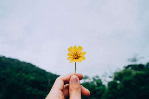 外国人記者が気づかせてくれたこと