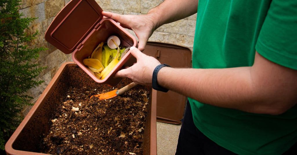 ミミズコンポストに挑戦】どうやって作る？ミミズの種類は？ – ロスゼロ