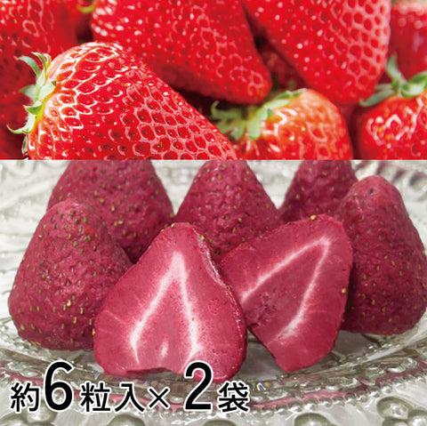 ＜苺チョコしみしみ＞ リッチな大粒ダブルストロベリーチョコ 【2袋】