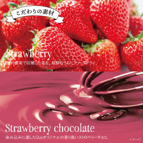 ＜苺チョコしみしみ＞ リッチな大粒ダブルストロベリーチョコ 【2袋】