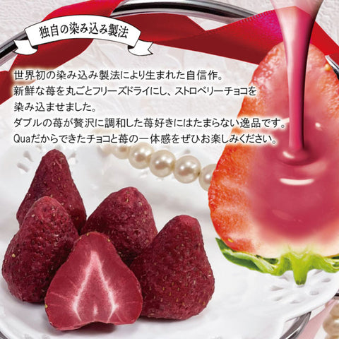 ＜苺チョコしみしみ＞ リッチな大粒ダブルストロベリーチョコ 【2袋】