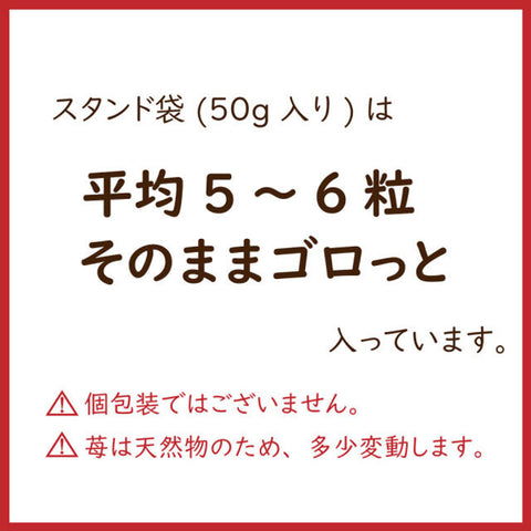 ＜苺チョコしみしみ＞ リッチな大粒ダブルストロベリーチョコ 【2袋】