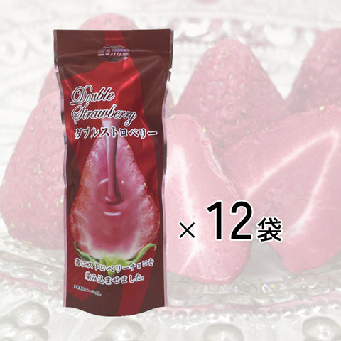 ＜苺チョコしみしみ＞ リッチな大粒ダブルストロベリーチョコ 【12袋】