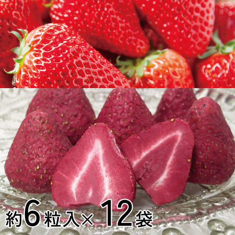 ＜苺チョコしみしみ＞ リッチな大粒ダブルストロベリーチョコ 【12袋】