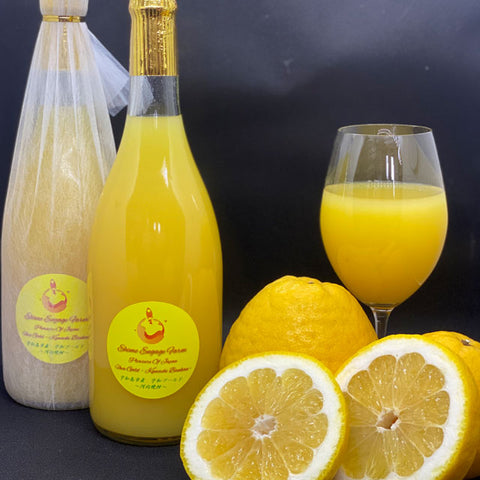 ＜2種飲み比べ＞南津海＆宇和ゴールド　720ml【2種12本】メーカー直送