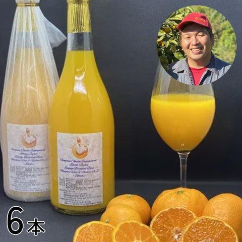 ＜スッキリまろやか！超濃厚＞宮川早生＆南柑20号　糖度13度みかんジュース【6本】【12本】メーカー直送