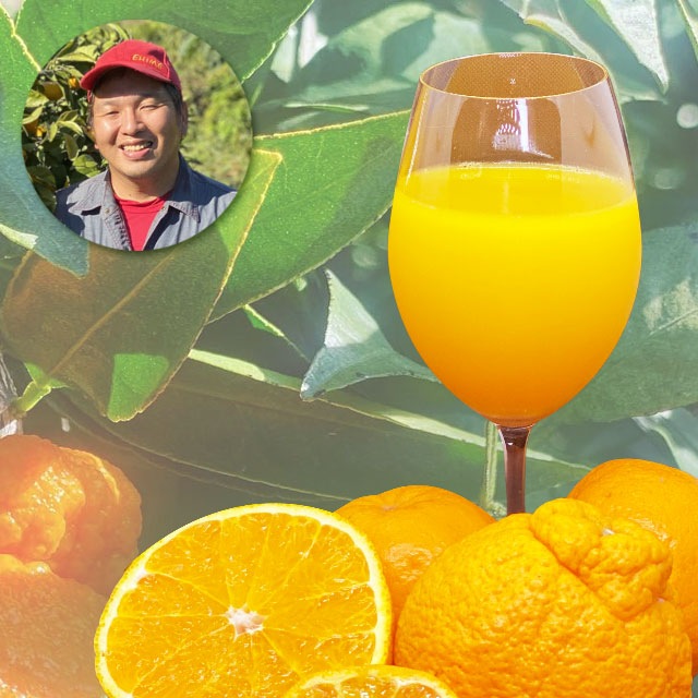 ＜シリーズトップクラスの糖度！＞不知火＆今津ポンカンジュース 720ml【6本・12本】メーカー直送