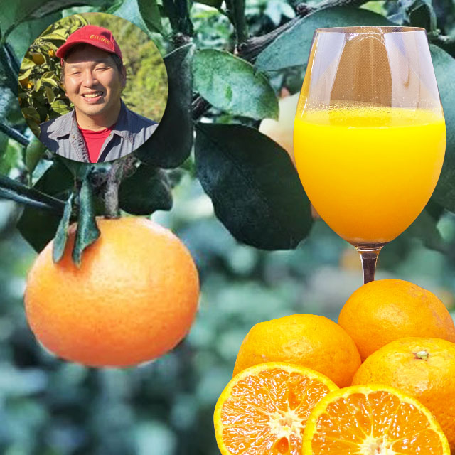 ＜濃厚濃密！＞南津海ジュース 720ml【6本・12本】メーカー直送