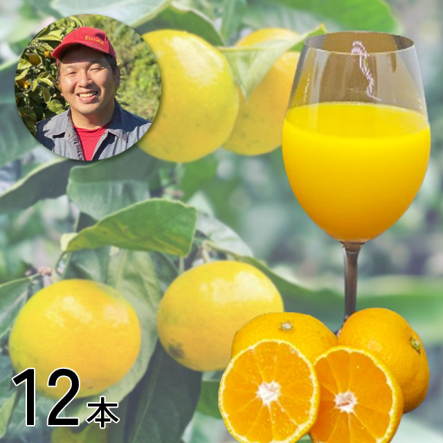 【愛媛・さっぱりとした口当たり】極早生みかん2種のブレンドジュース【12本】