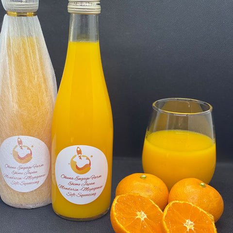 ＜愛媛みかん愛＞もぎたての味を楽しむ！みかんジュース【300ml×12本】メーカー直送