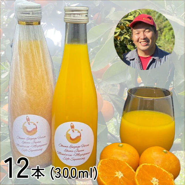 ＜愛媛みかん愛＞もぎたての味を楽しむ！みかんジュース【300ml×12本】メーカー直送