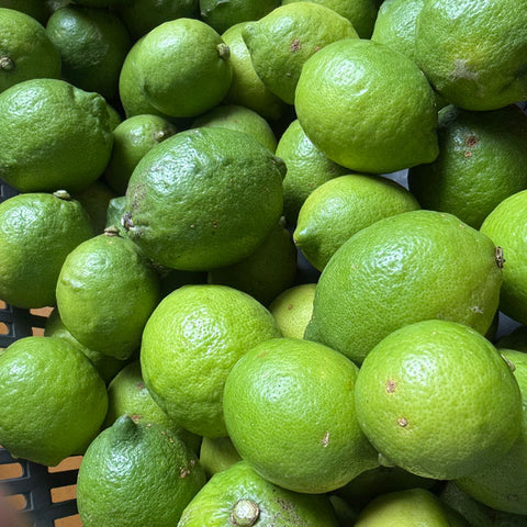 ＜愛媛発＞ひと味もふた味も違う！本当のレモンジュース【300ml×12本】メーカー直送