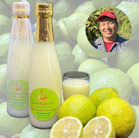 ＜愛媛発＞ひと味もふた味も違う！本当のレモンジュース【300ml×12本】メーカー直送