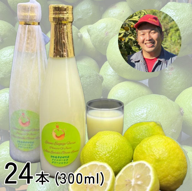 ＜愛媛発＞ひと味もふた味も違う！本当のレモンジュース【300ml×24本】メーカー直送