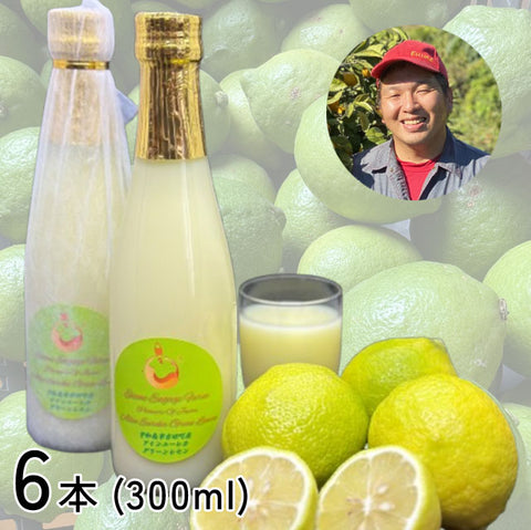 ＜愛媛発＞ひと味もふた味も違う！本当のレモンジュース【300ml×6本】メーカー直送