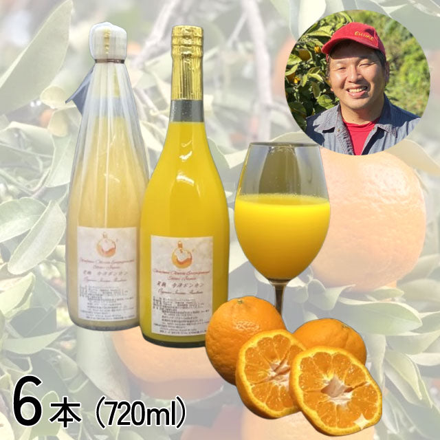 【愛媛みかん愛】今津ぽんかんジュース720ml【6本・12本】メーカー直送