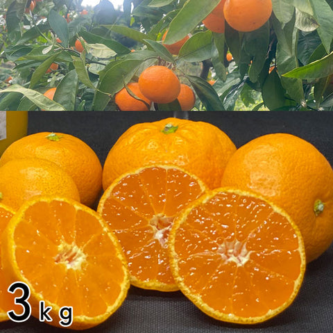 ＜愛媛みかん愛＞温州みかん　家庭用優品【3kg・5kg・10kg】メーカー直送