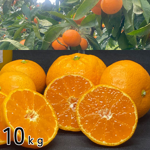 ＜愛媛みかん愛＞温州みかん　家庭用優品【3kg・5kg・10kg】メーカー直送