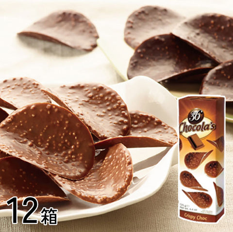＜ベルギー発＞まるでポテチ？！さくっとチョコチップス　ミルク【12箱】
