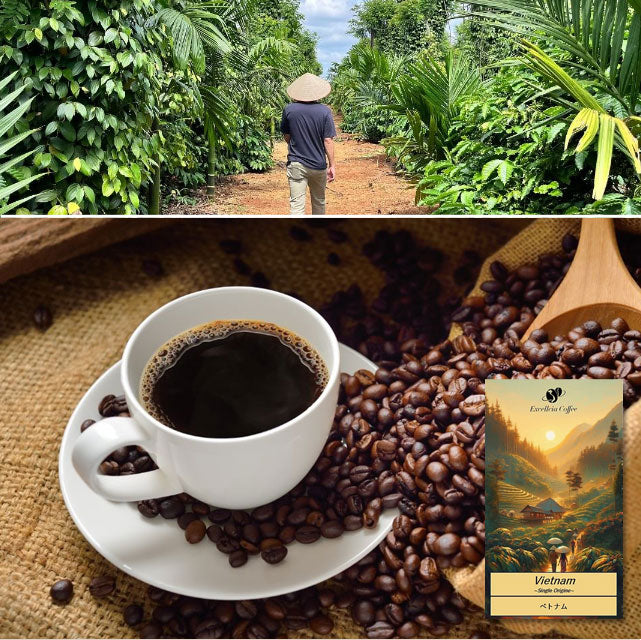 ＜ベトナム発＞香り高いシングルオリジンコーヒー200g（豆or粉）3袋