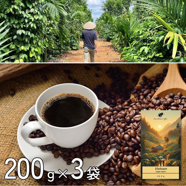 ＜ベトナム発＞香り高いシングルオリジンコーヒー200g（豆or粉）3袋