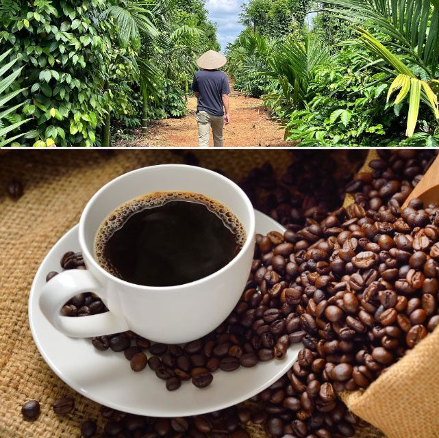 ＜コーヒー好きに贈る＞3種の珈琲豆飲み比べセット【3袋】