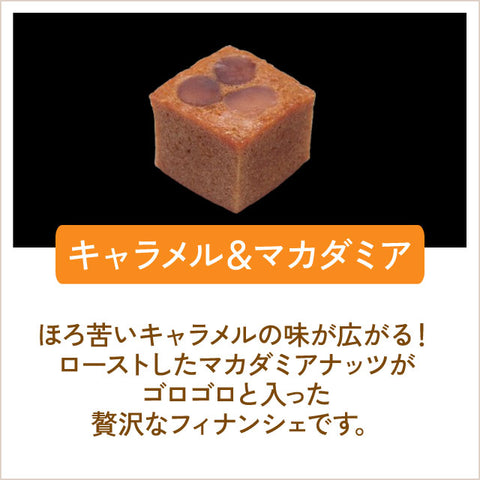 ＜濃厚フィナンシェ＞しっとり深いコク！かわいいキューブ型【5種×6個】