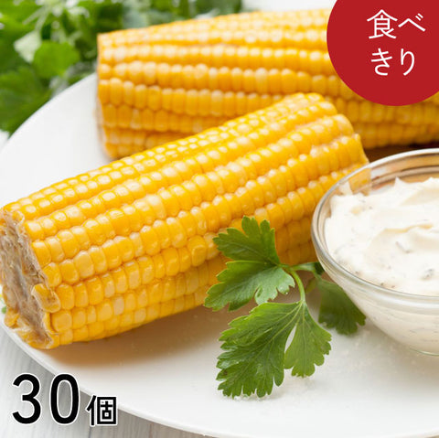 ★限定キャンペーン★＜季節の味そのまま＞甘くてビックリ！北海道産ボイルとうもろこし【15本セット】