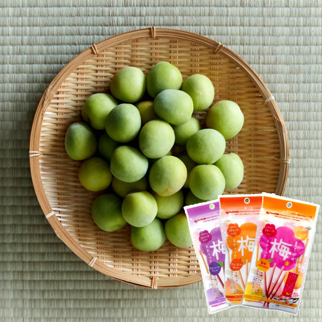 ＜梅×フルーツ＞やみつき梅スティック【3種×各20袋】