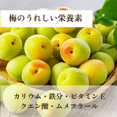＜梅×フルーツ＞やみつき梅スティック【3種×各10袋】