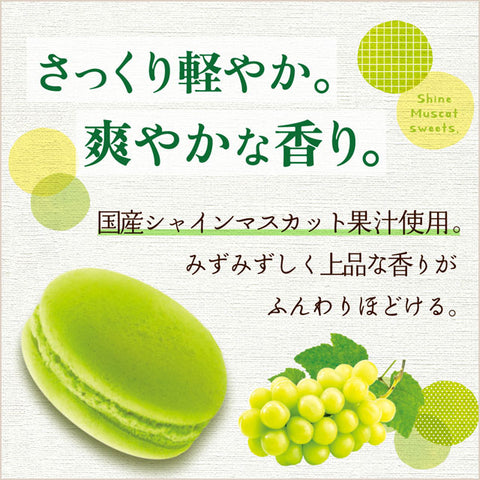 ＜シャインマスカット＞食感も楽しい焼き菓子【2種×各3箱】