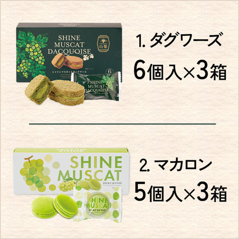 ＜シャインマスカット＞食感も楽しい焼き菓子【2種×各3箱】